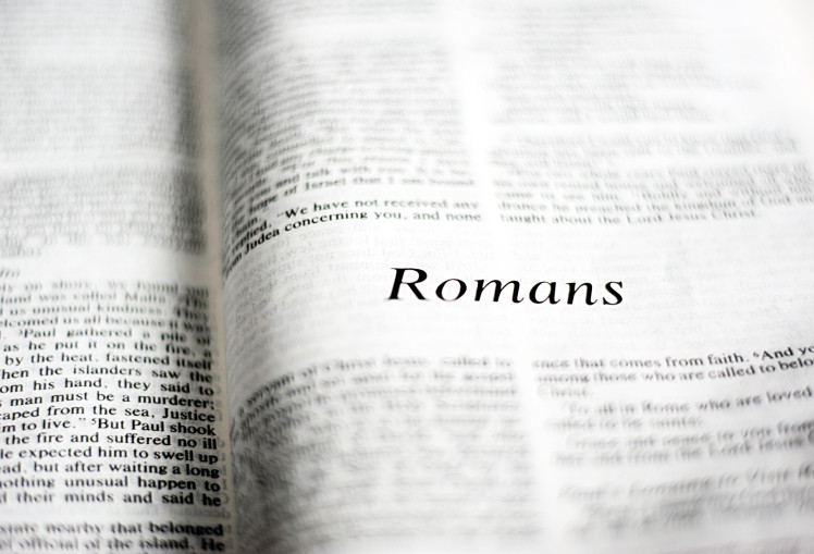 Romans Bible Guide