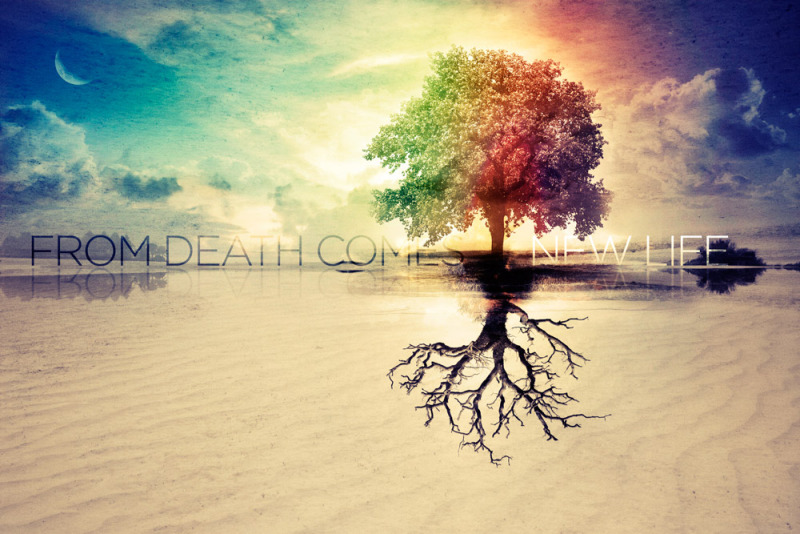 from-death-comes-new-life-web