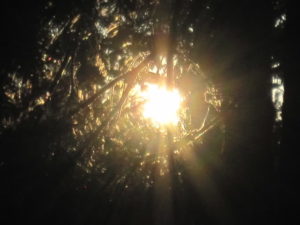 lightshining