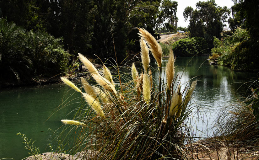 God-Soaked Bible Guide – Day 22