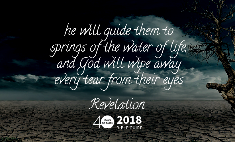 God Will Wipe Every Tear – Revelation Bible Guide Day 12