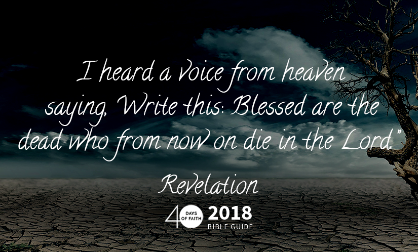 A Voice from Heaven – Revelation Bible Guide Day 19