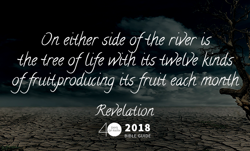 River of the Water of Life – Revelation Bible Guide Day 29