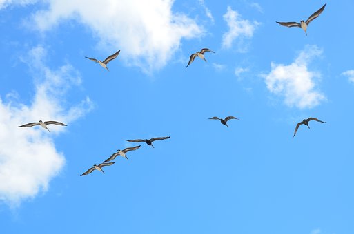 Healthy Faith or Unhealthy Faith? 3 Questions to Ask