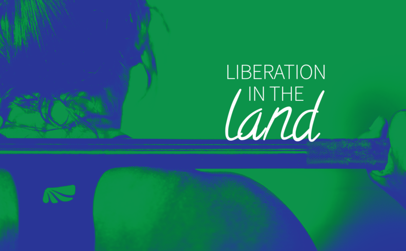Liberation in the Land: A Reading of Exodus for the Ecological Crisis