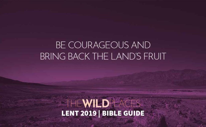 The Wild Places Bible Guide – 10