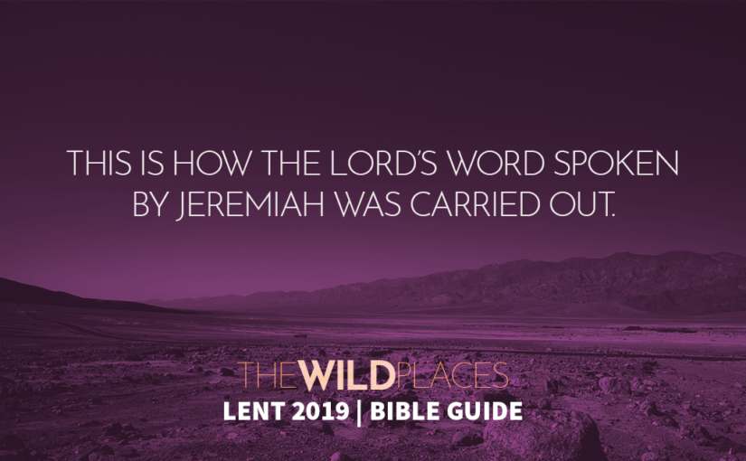The Wild Places Bible Guide – 12