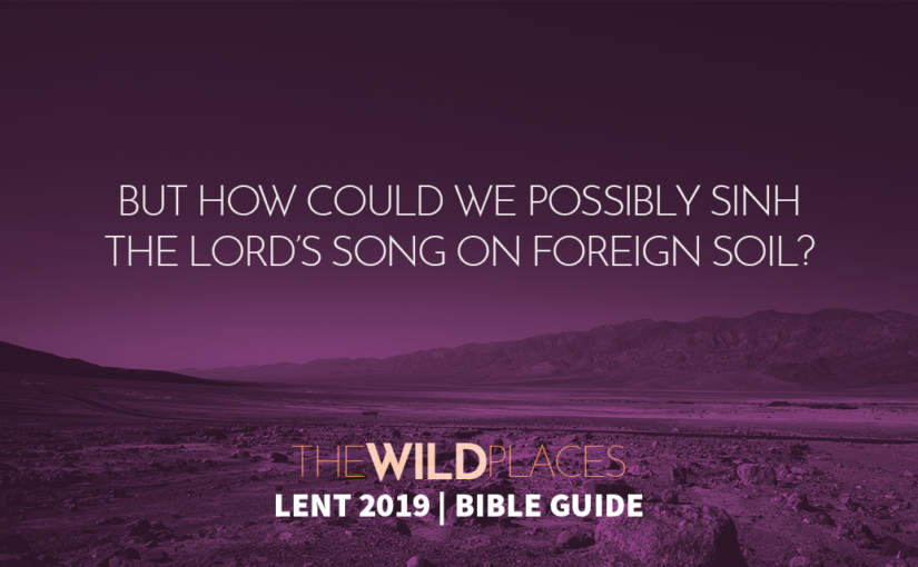 The Wild Places Bible Guide – 17
