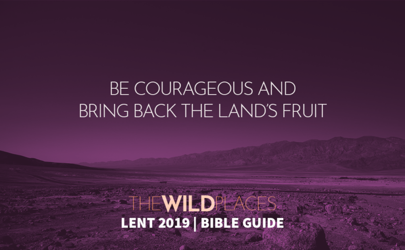 The Wild Places Bible Guide – 6