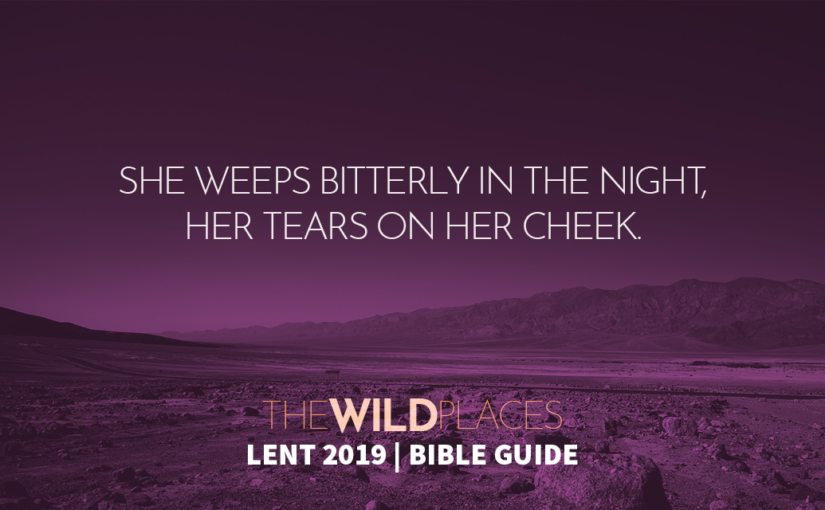 The Wild Places Bible Guide – 16