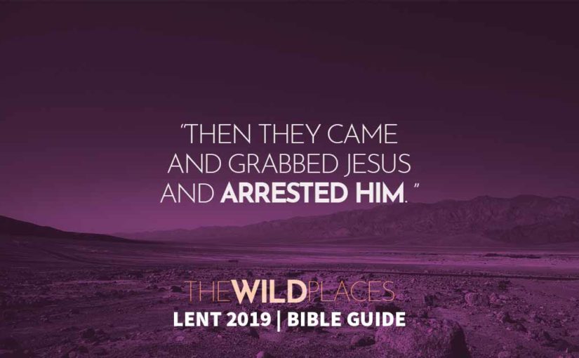 The Wild Places Bible Guide – 28