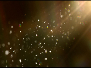 Image of raindrops filtered by a ray of sunlight.