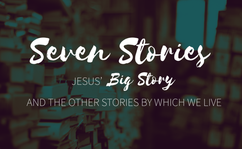 Choosing Our Stories ﻿
