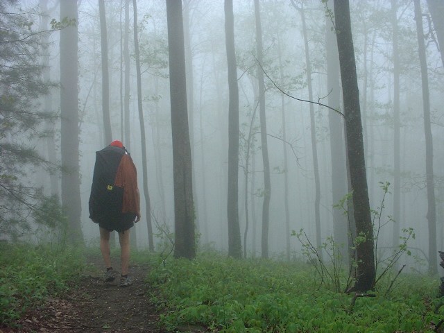 Photo of figure standing in woods on green forest floor. Heavy mist surrounding.