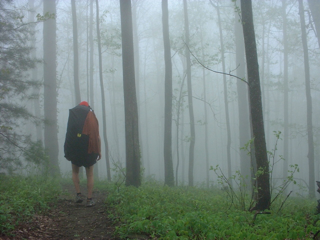 Photo of figure standing in woods on green forest floor. Heavy mist surrounding.