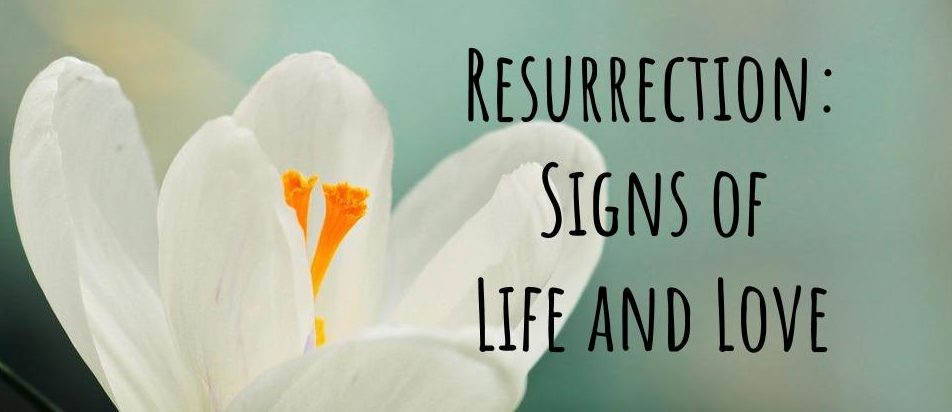 Photo of white crocus against green background. Text reads: "Resurrection: Signs of Life and Love"