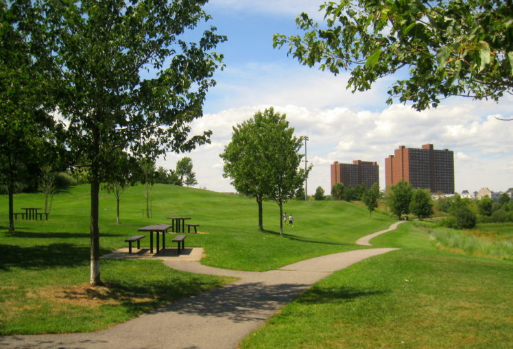 Park with trees and path, two apartment buildings in distance.