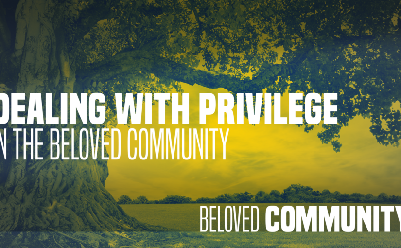 Dealing with Privilege in the Beloved Community