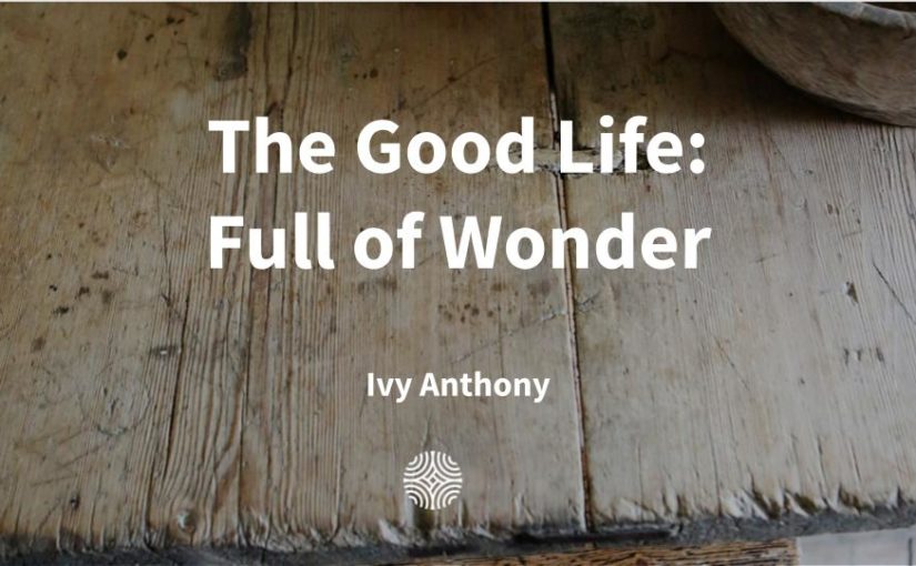 The Good Life | Full of Wonder