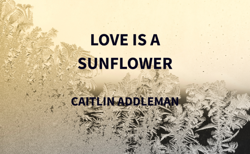 Love Is a Sunflower
