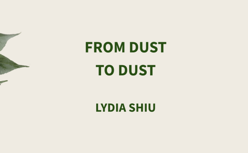 From Dust to Dust