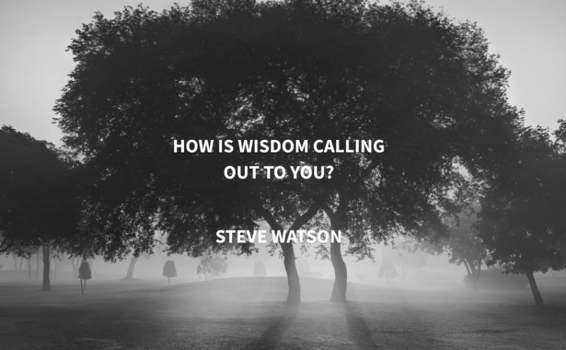 How Is Wisdom Calling Out to You?