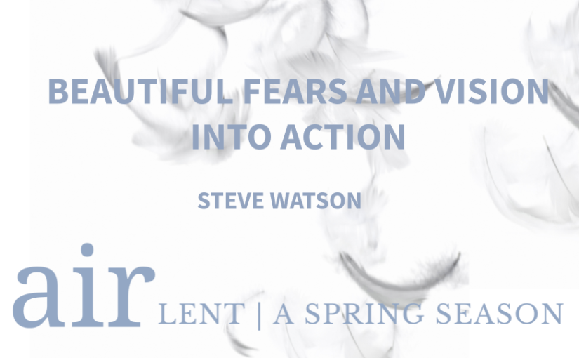 Beautiful Vision and Fears into Action