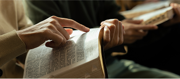 Books of the Bible Guide